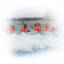 【河南專業(yè)人工造浪設(shè)備、人工造浪池 、造浪機(jī)設(shè)備圖片】河南專業(yè)人工造浪設(shè)備、人工造浪池 、造浪機(jī)設(shè)備圖片大全