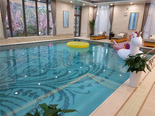 隨州造浪池設備 武漢豐盛桑拿泳池