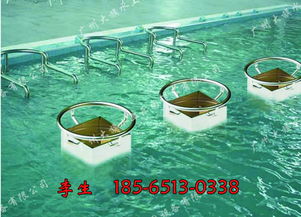 溫泉spa水療設(shè)備供應(yīng),優(yōu)質(zhì)水上樂(lè)園設(shè)施廠家直銷